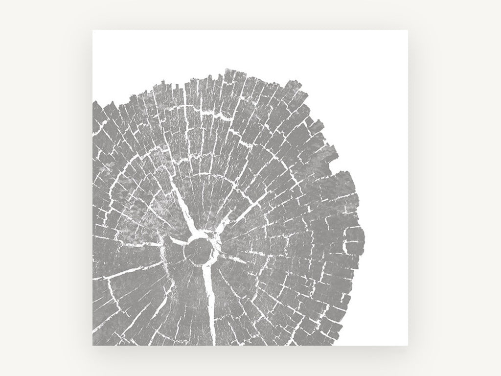 Grey Timber Rings, floral canvas wall art print, front view