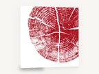 Crimson Tree Rings, red tree ring cross section, floral canvas wall art print ready to hang