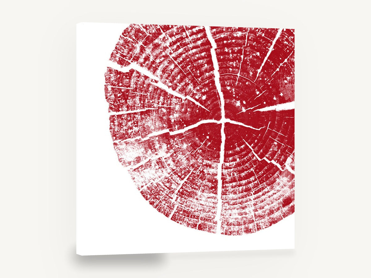 Crimson Tree Rings, red tree ring cross section, floral canvas wall art print ready to hang