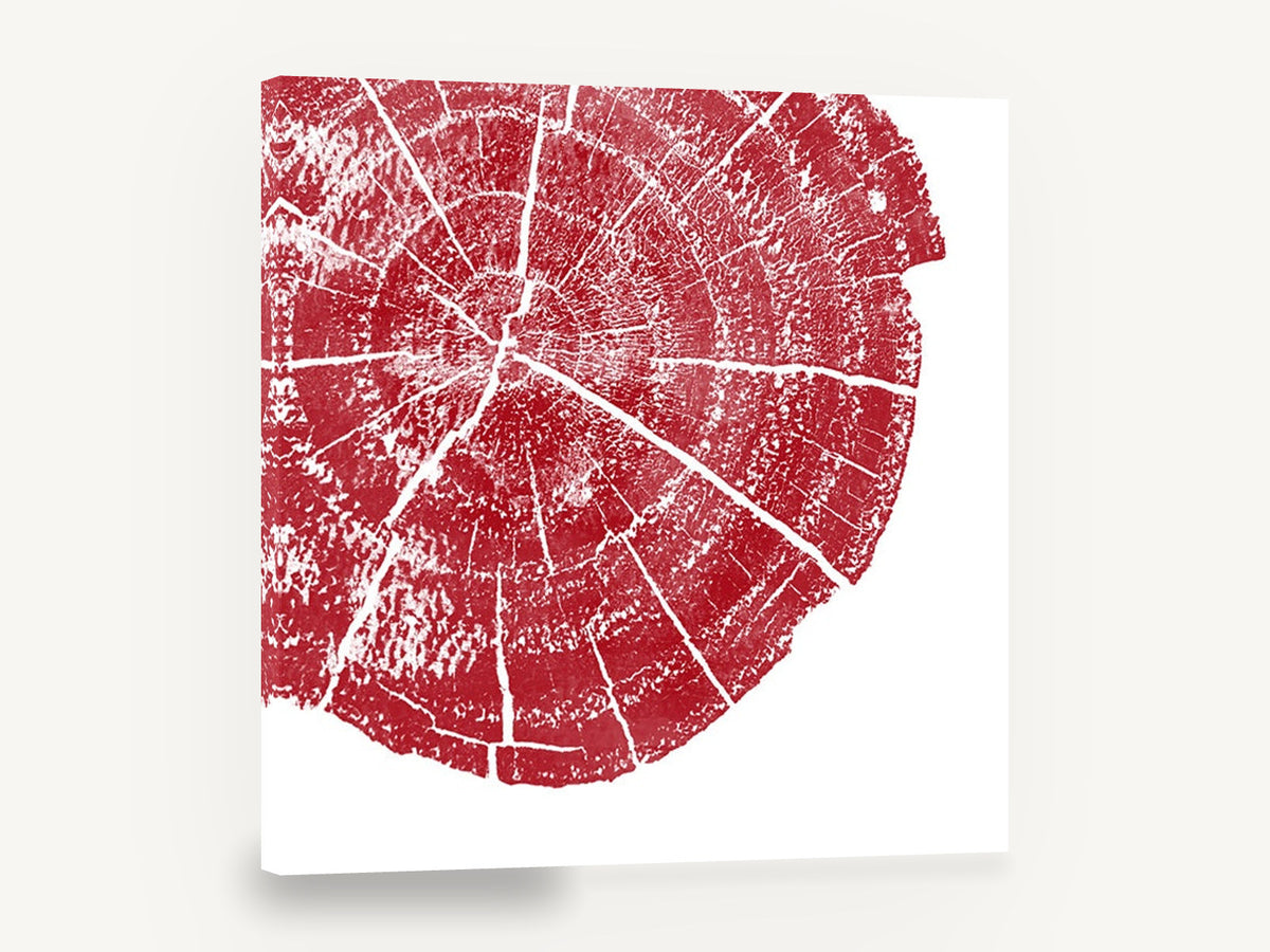 Crimson Tree Ring, red tree ring cross section, floral canvas wall art print ready to hang