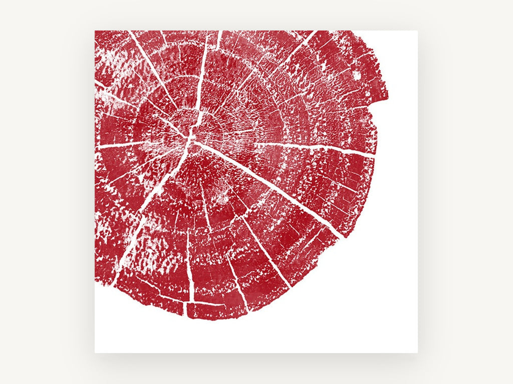 Crimson Tree Ring, floral canvas wall art print, front view