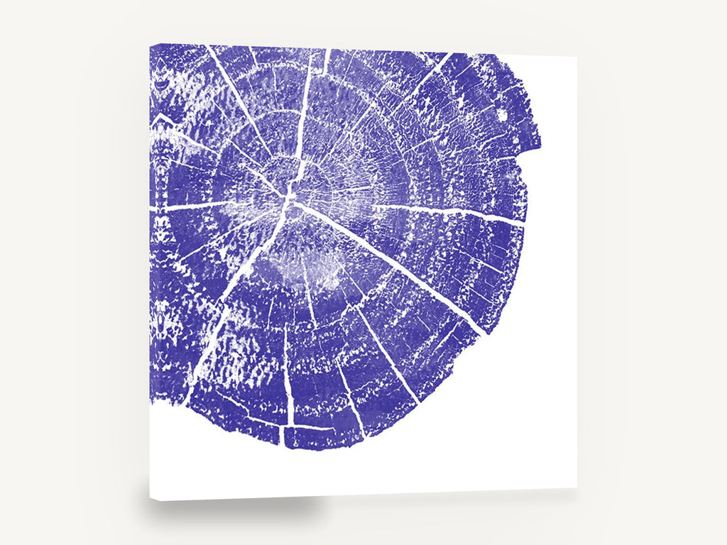 Indigo Tree Rings, indigo tree ring cross section, floral canvas wall art print ready to hang