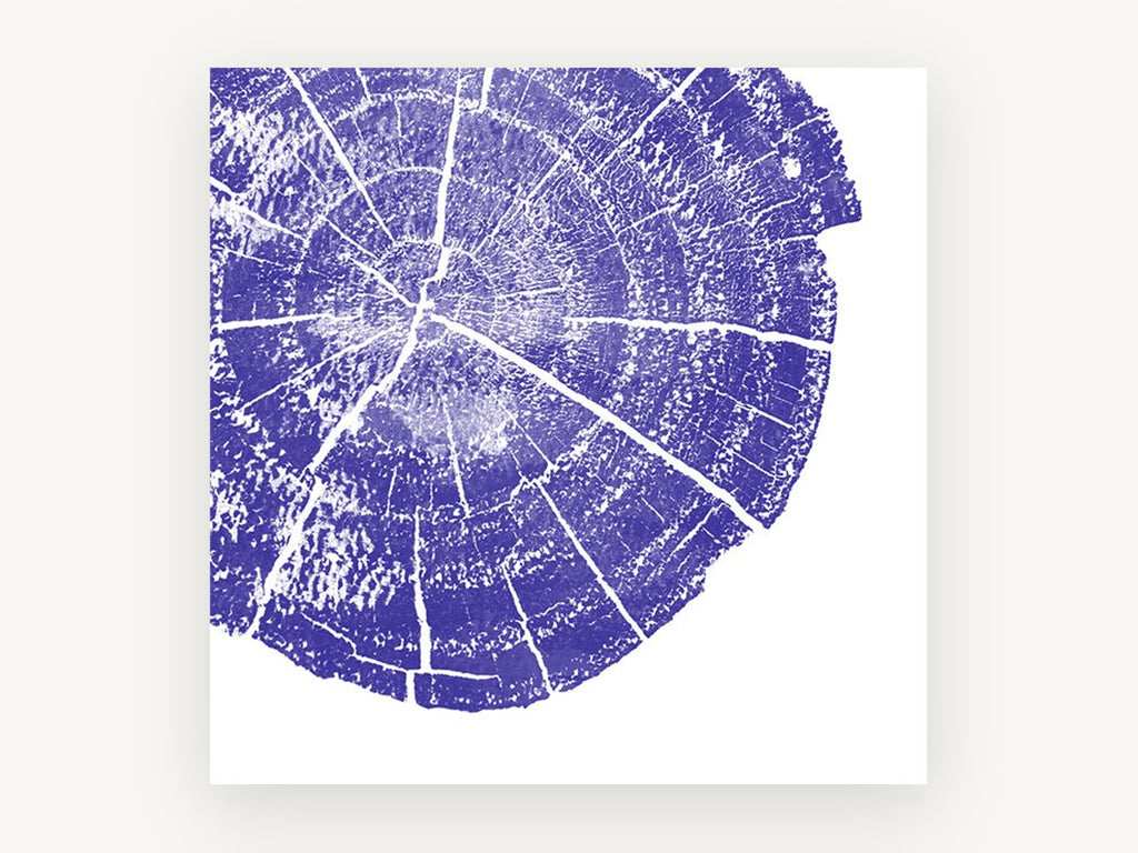 Indigo Tree Rings, floral canvas wall art print, front view