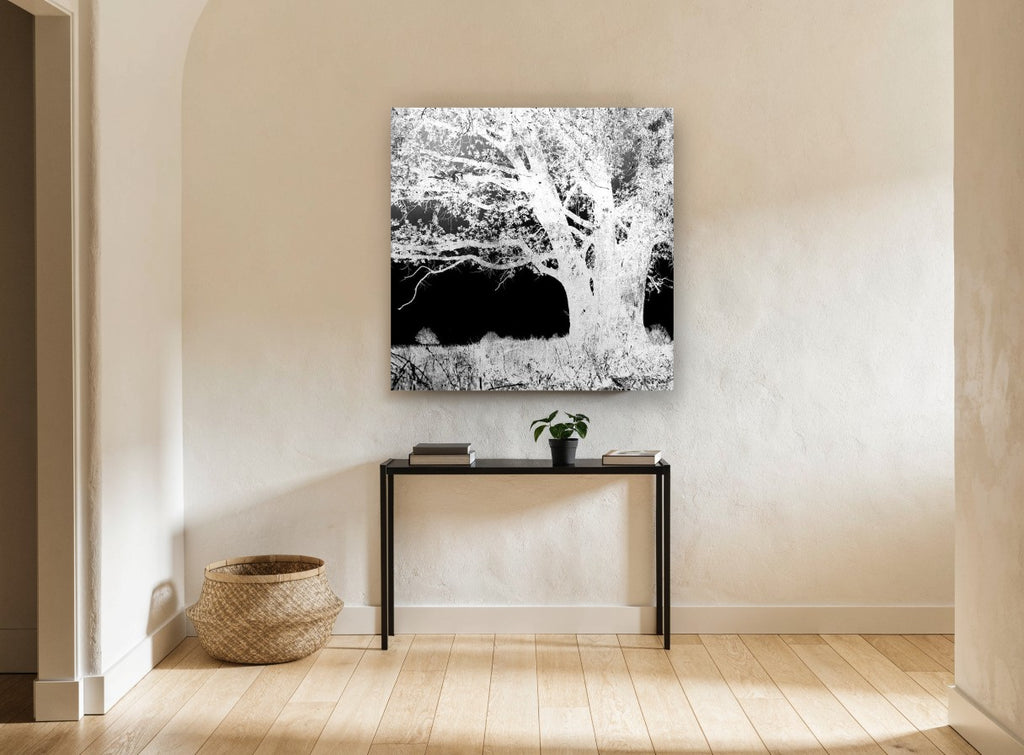 Inverted Oak Tree landscape canvas print on the wall of a hallway