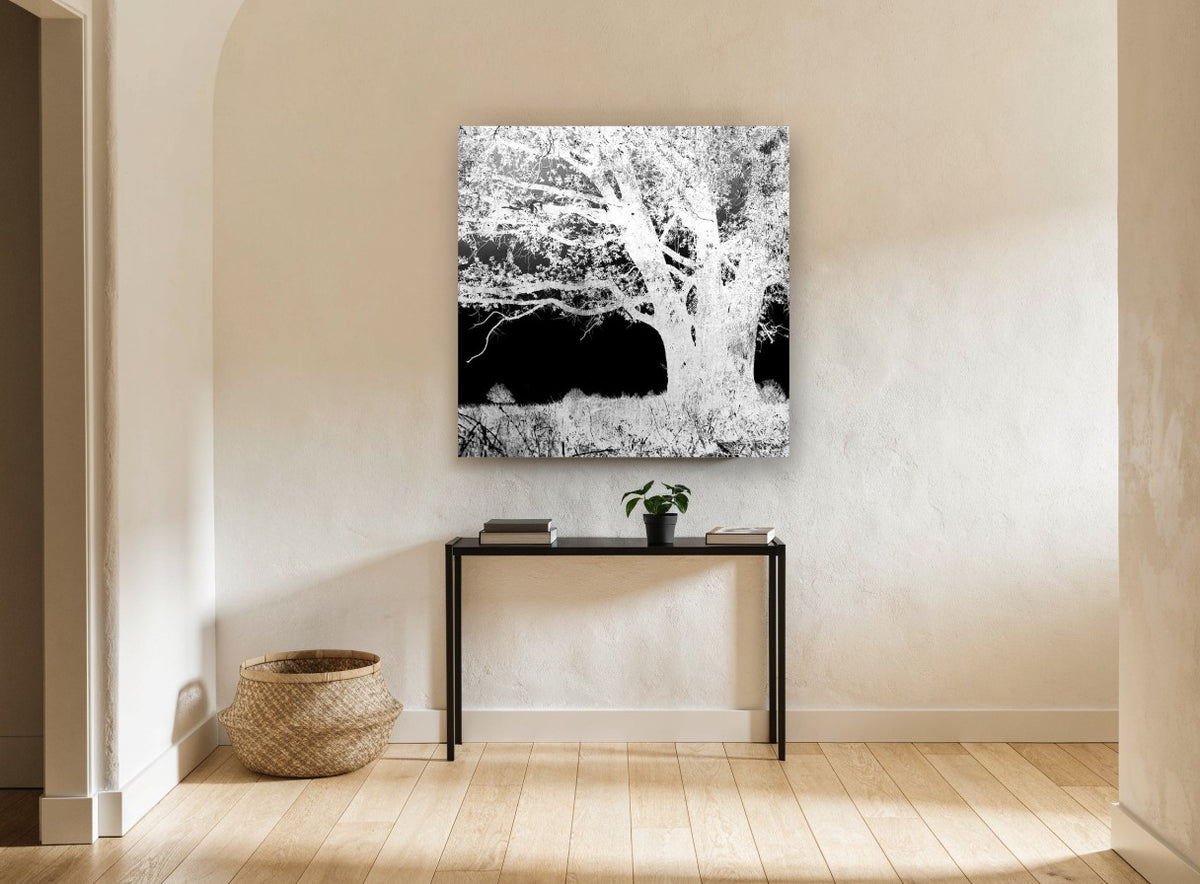 Inverted Oak Tree landscape canvas print on the wall of a hallway