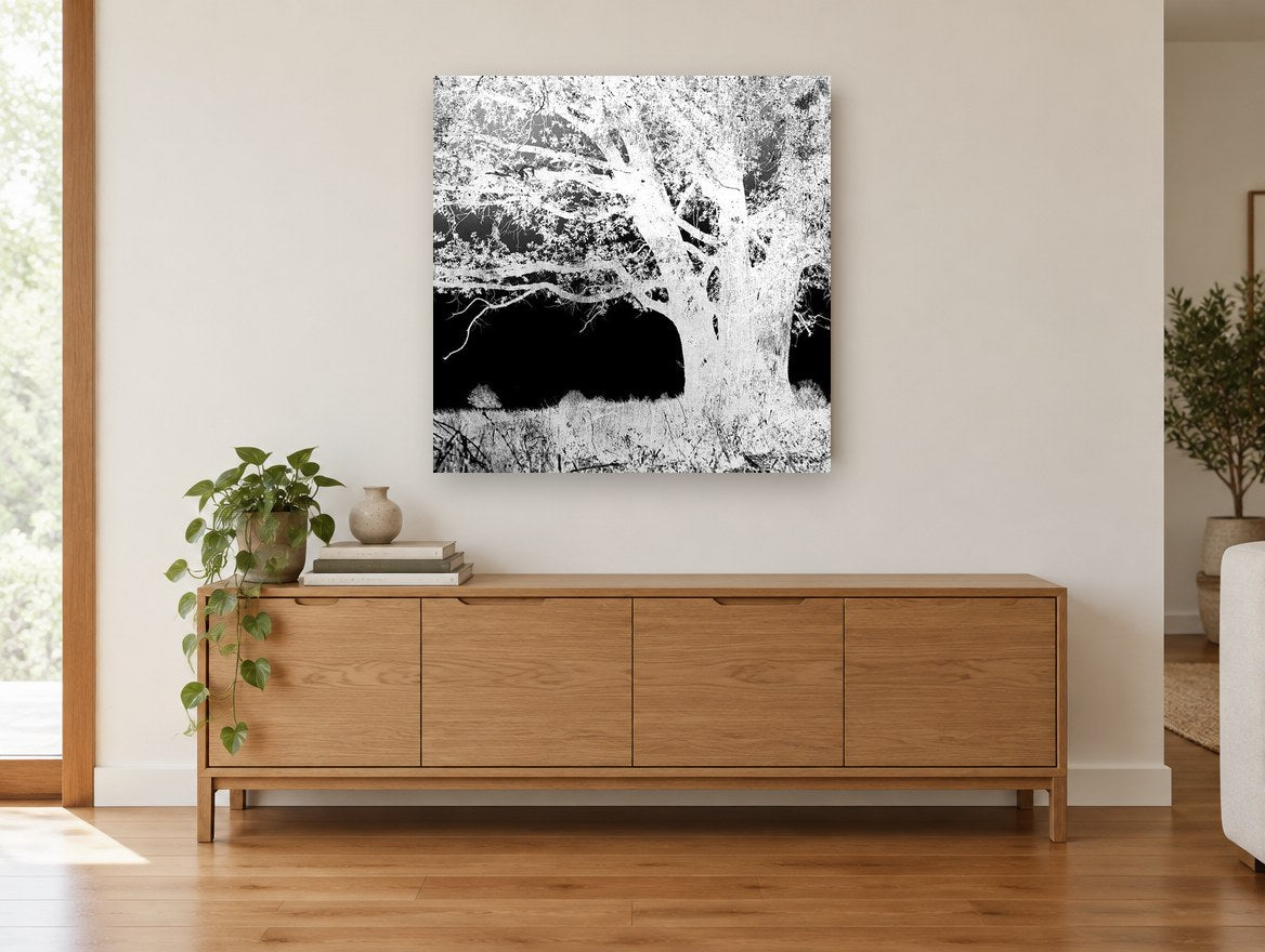 Inverted Oak Tree landscape canvas print on the wall of a living room above a sideboard