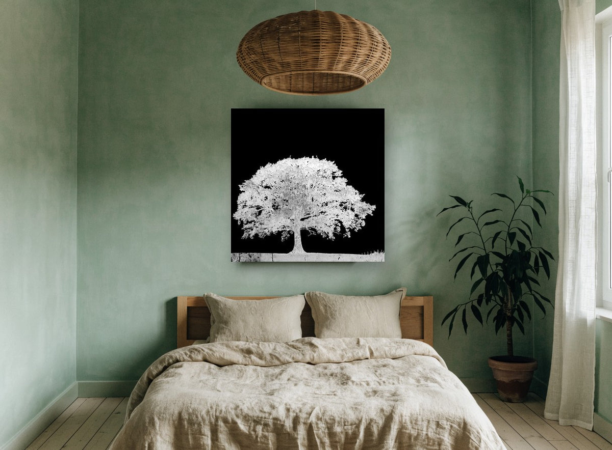 Ghost Oak Negative landscape canvas print on the wall of a bedroom