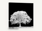 Ghost Oak Negative, black and white tree negative photograph, landscape canvas wall art print ready to hang
