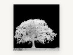 Ghost Oak Negative, black and white tree negative photograph, landscape canvas wall art print, front view