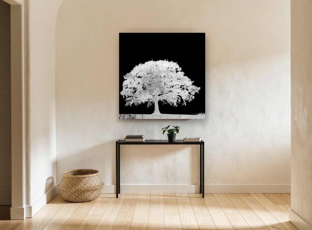 Ghost Oak Negative landscape canvas print on the wall of a hallway