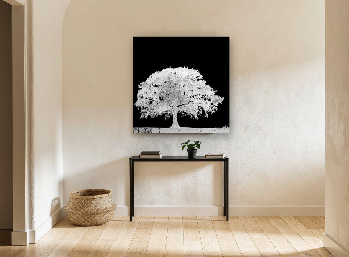 Ghost Oak Negative landscape canvas print on the wall of a hallway