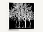 Ghost Grove, bare trees black and white photograph, landscape canvas wall art print ready to hang