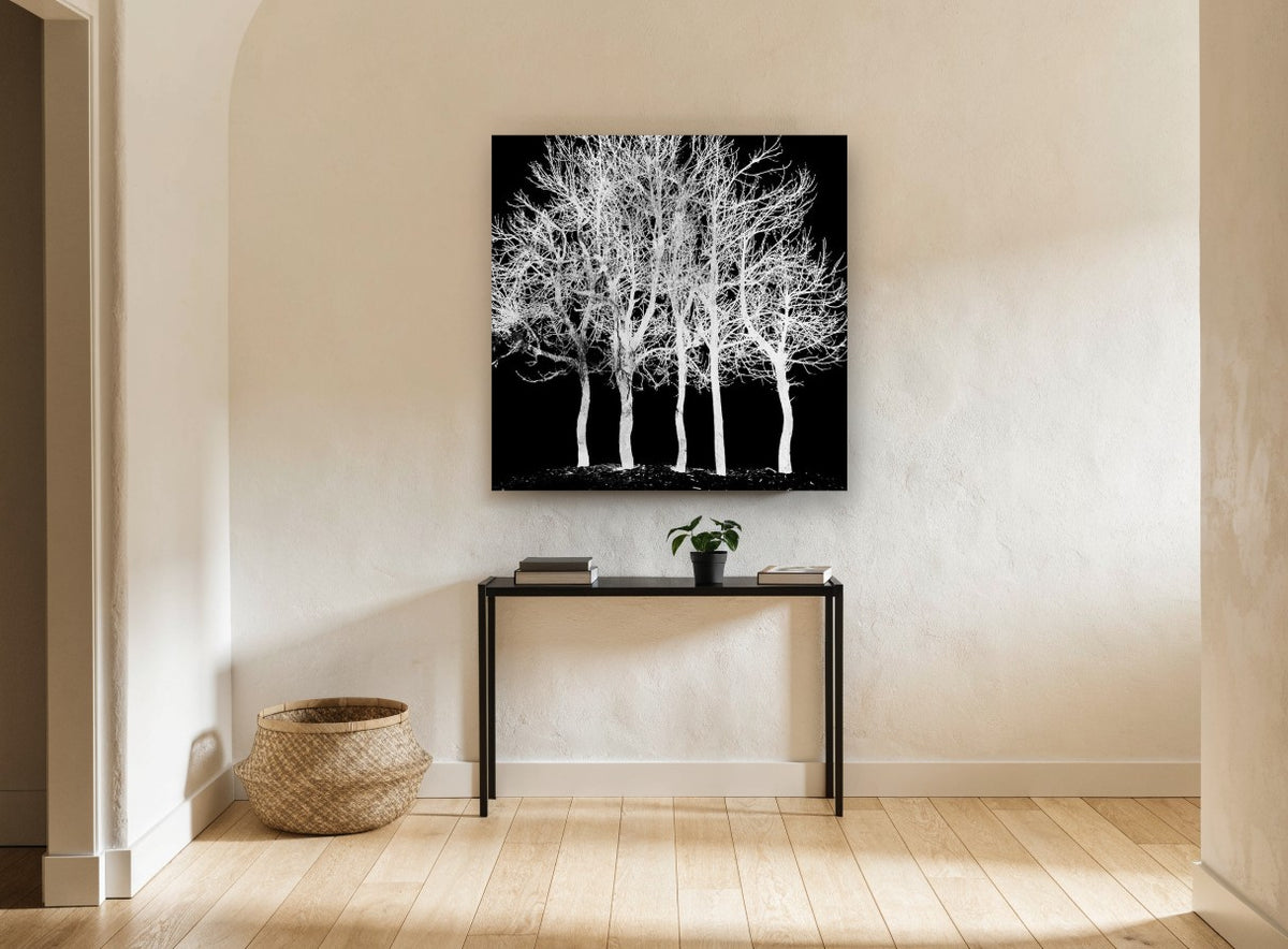 Ghost Grove landscape canvas print on the wall of a hallway
