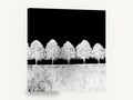 Inverted Tree Row, black and white tree row photograph, landscape canvas wall art print ready to hang