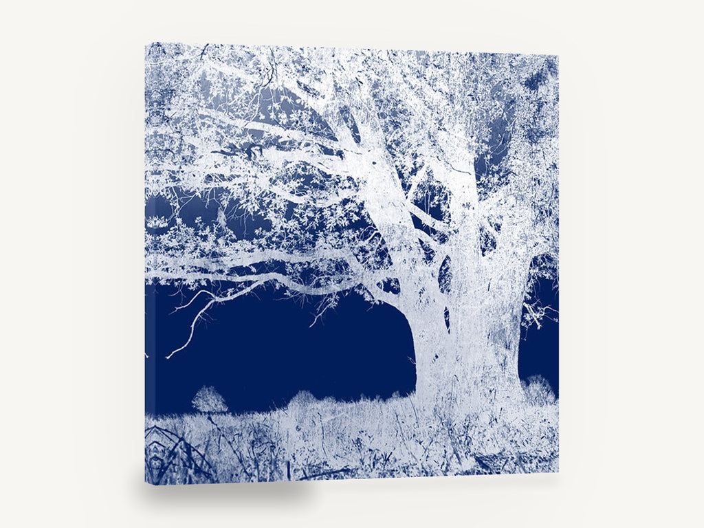 Inverted Indigo Oak, blue and white tree negative photograph, landscape canvas wall art print ready to hang