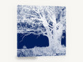 Inverted Indigo Oak, blue and white tree negative photograph, landscape canvas wall art print ready to hang