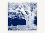 Inverted Indigo Oak, blue and white tree negative photograph, landscape canvas wall art print, front view