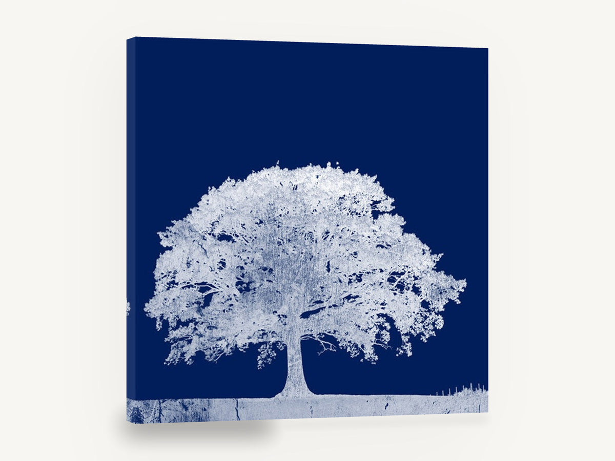 Midnight Oak Negative, white oak tree navy photograph, landscape canvas wall art print ready to hang
