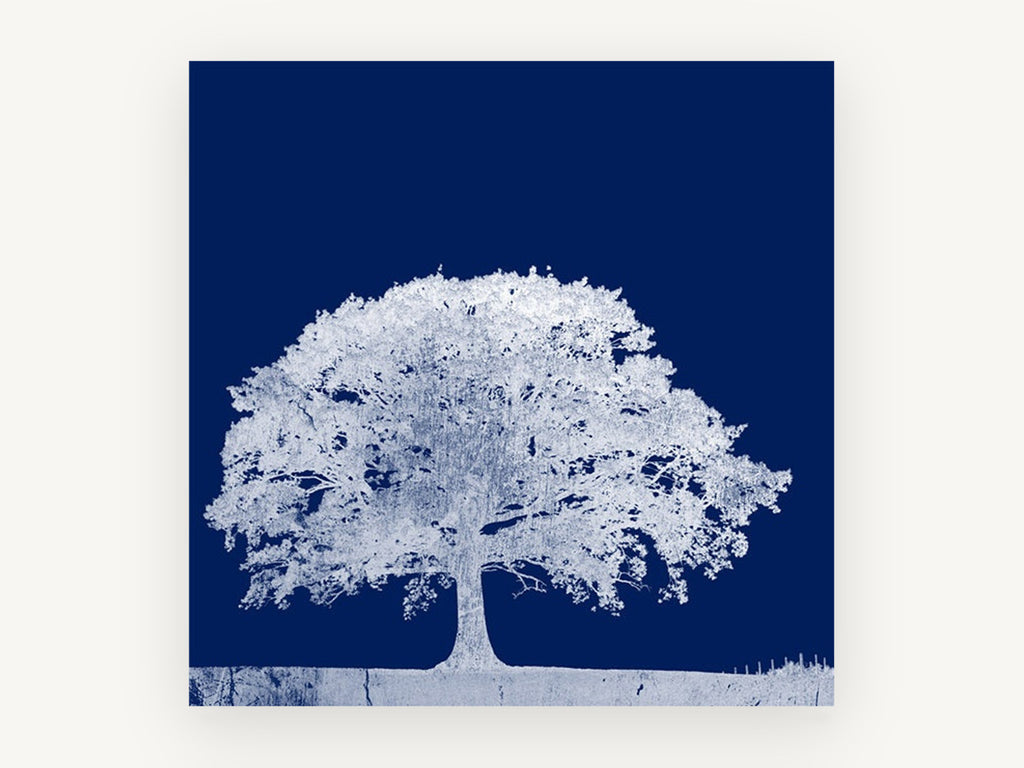 Midnight Oak Negative, white oak tree navy photograph, landscape canvas wall art print, front view
