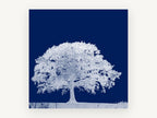 Midnight Oak Negative, white oak tree navy photograph, landscape canvas wall art print, front view