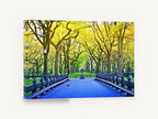 Spring Park Promenade, tree lined park path photograph, landscape canvas wall art print ready to hang