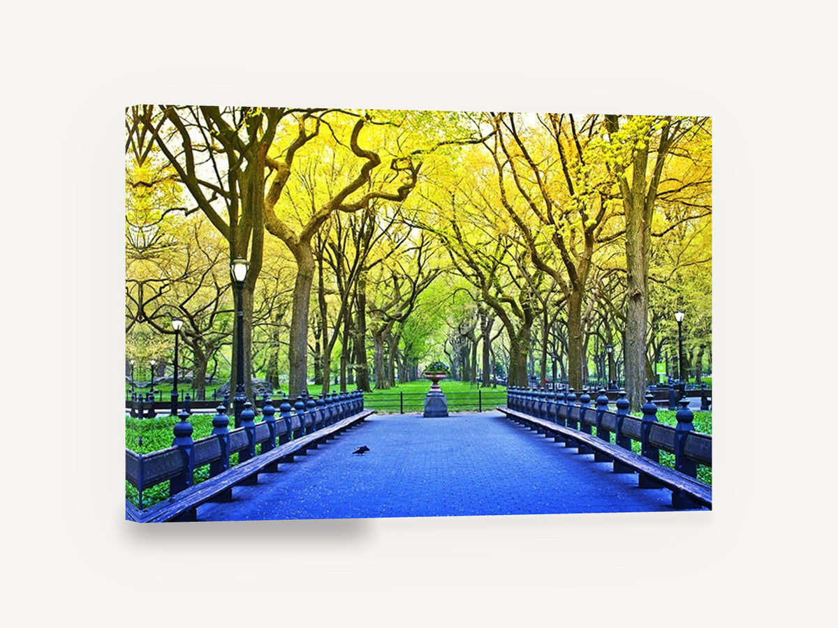 Spring Park Promenade, tree lined park path photograph, landscape canvas wall art print ready to hang