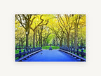 Spring Park Promenade, tree lined park path photograph, landscape canvas wall art print, front view