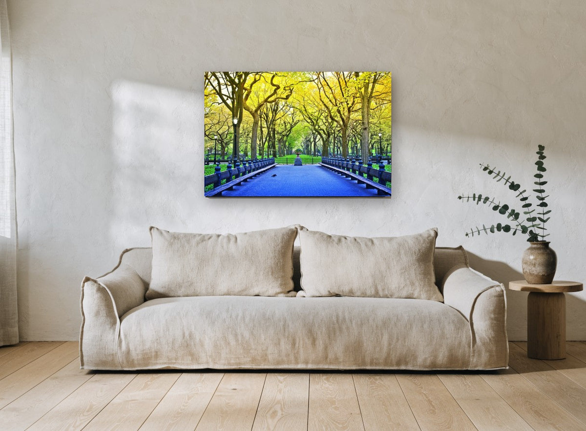 Spring Park Promenade landscape canvas print on the wall of a living room