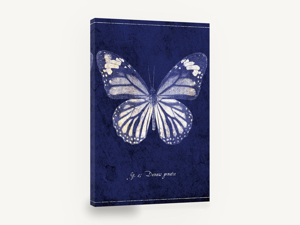 Indigo Tiger Wings, vintage butterfly illustration in indigo, animal canvas wall art print ready to hang