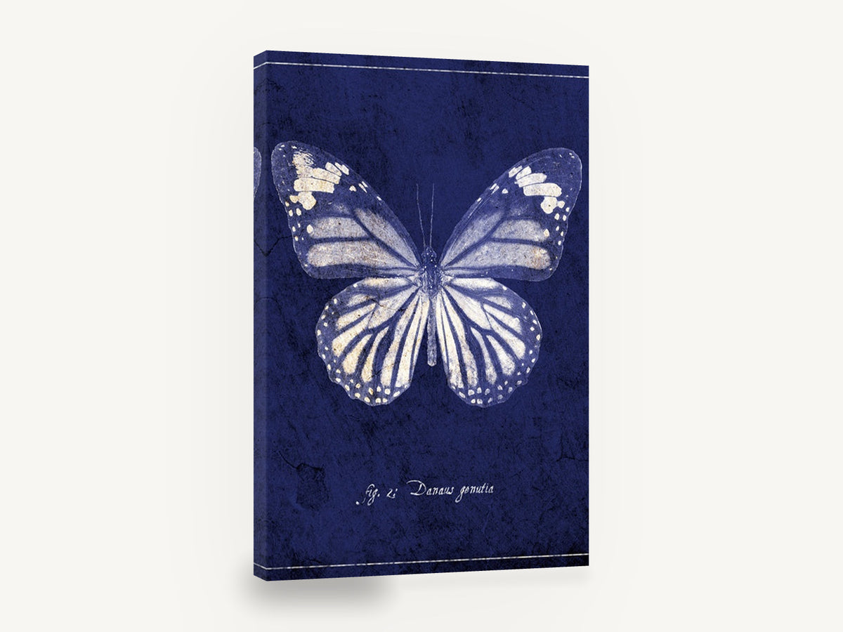 Indigo Tiger Wings, vintage butterfly illustration in indigo, animal canvas wall art print ready to hang