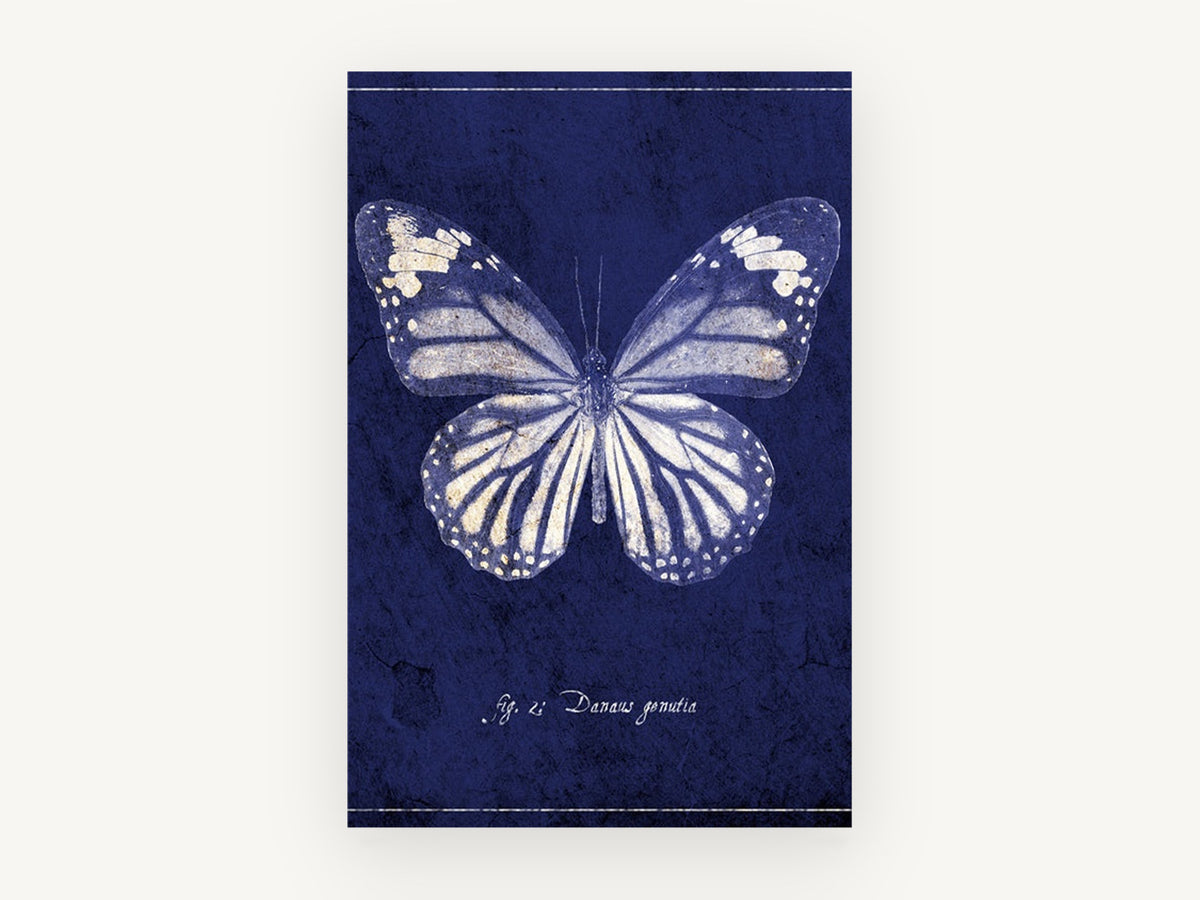 Indigo Tiger Wings, vintage butterfly illustration in indigo, animal canvas wall art print, front view