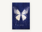 Midnight Ulysses Butterfly, blue ulysses butterfly specimen illustration, animal canvas wall art print, front view