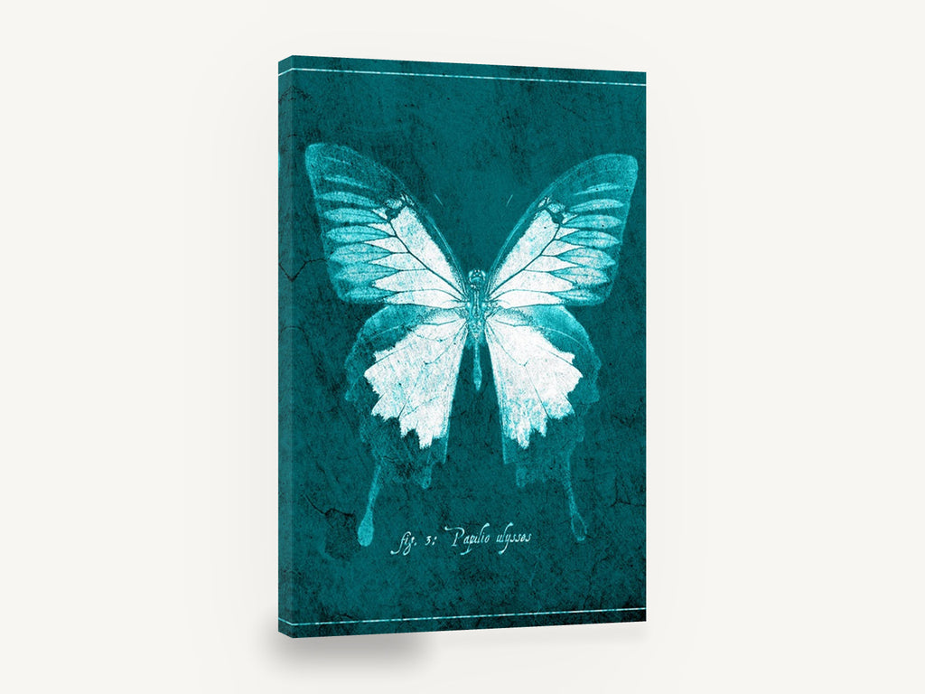 Teal Ulysses Butterfly, teal ulysses butterfly illustration, animal canvas wall art print ready to hang