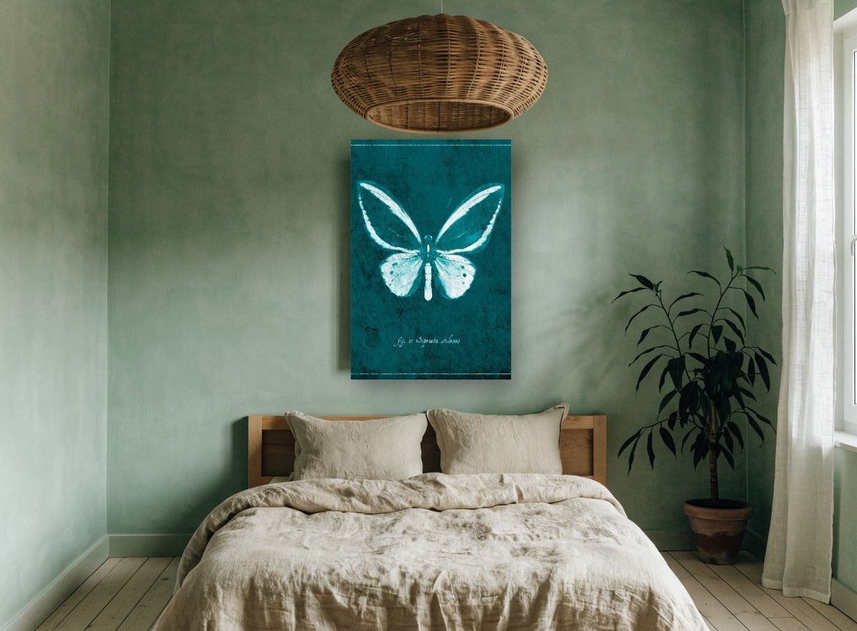 Teal Butterfly Specimen animal canvas print on the wall of a bedroom