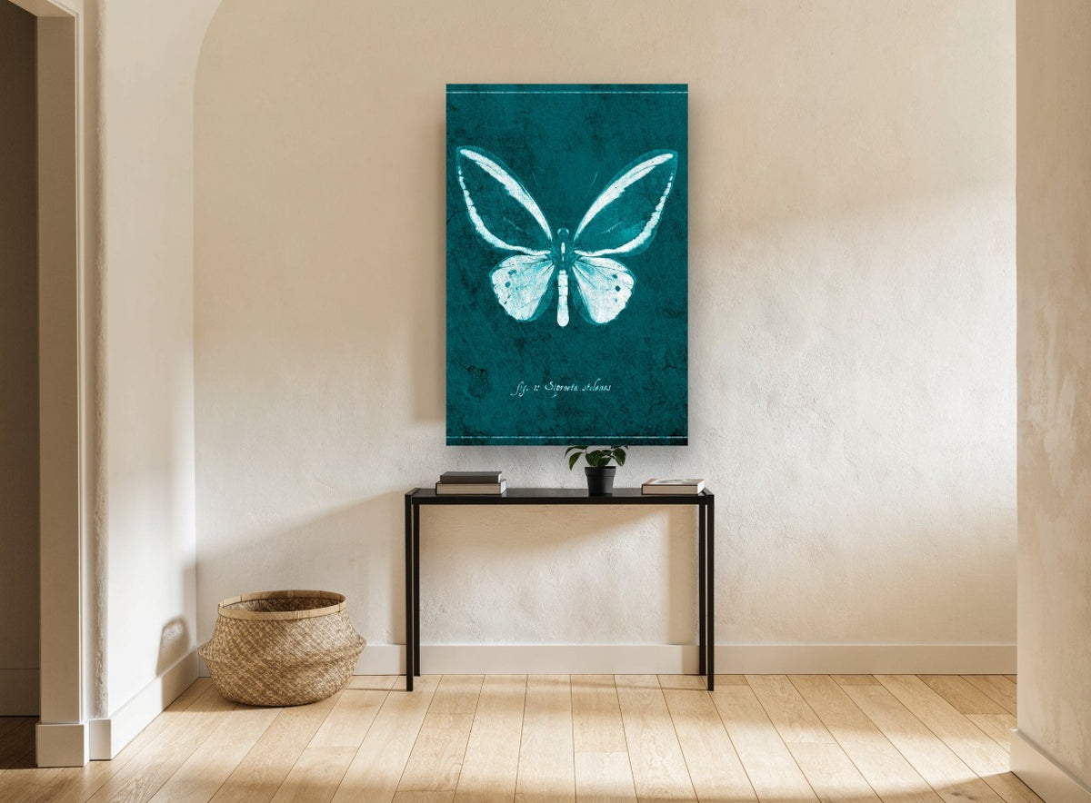 Teal Butterfly Specimen animal canvas print on the wall of a hallway
