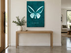 Teal Butterfly Specimen animal canvas print on the wall of a entry hall
