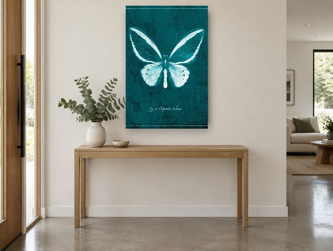 Teal Butterfly Specimen animal canvas print on the wall of a entry hall