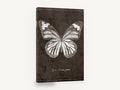 Chalk Tiger Butterfly, vintage butterfly specimen illustration, animal canvas wall art print ready to hang