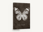 Chalk Tiger Butterfly, vintage butterfly specimen illustration, animal canvas wall art print ready to hang