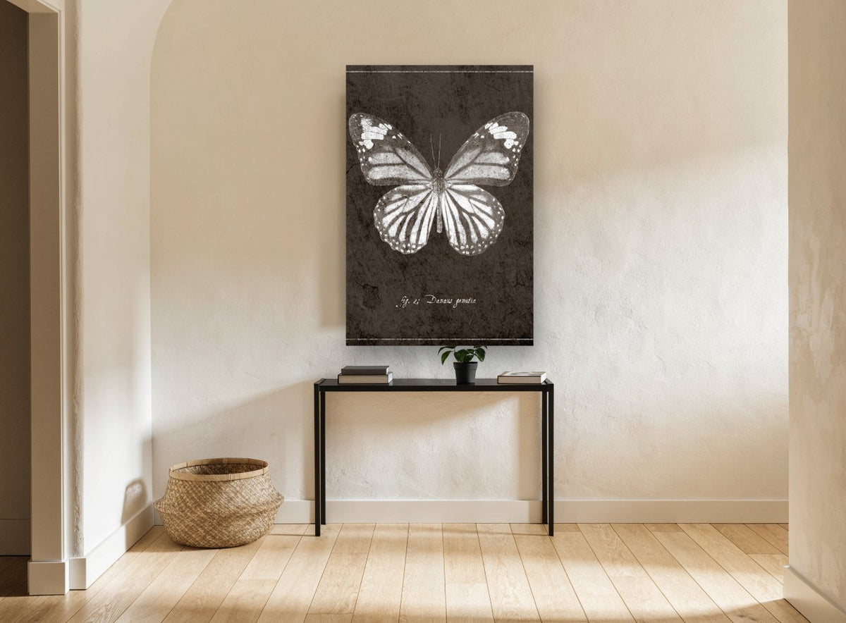 Chalk Tiger Butterfly animal canvas print on the wall of a hallway