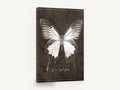 Ulysses Butterfly Study, vintage butterfly illustration, animal canvas wall art print ready to hang