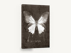 Ulysses Butterfly Study, vintage butterfly illustration, animal canvas wall art print ready to hang