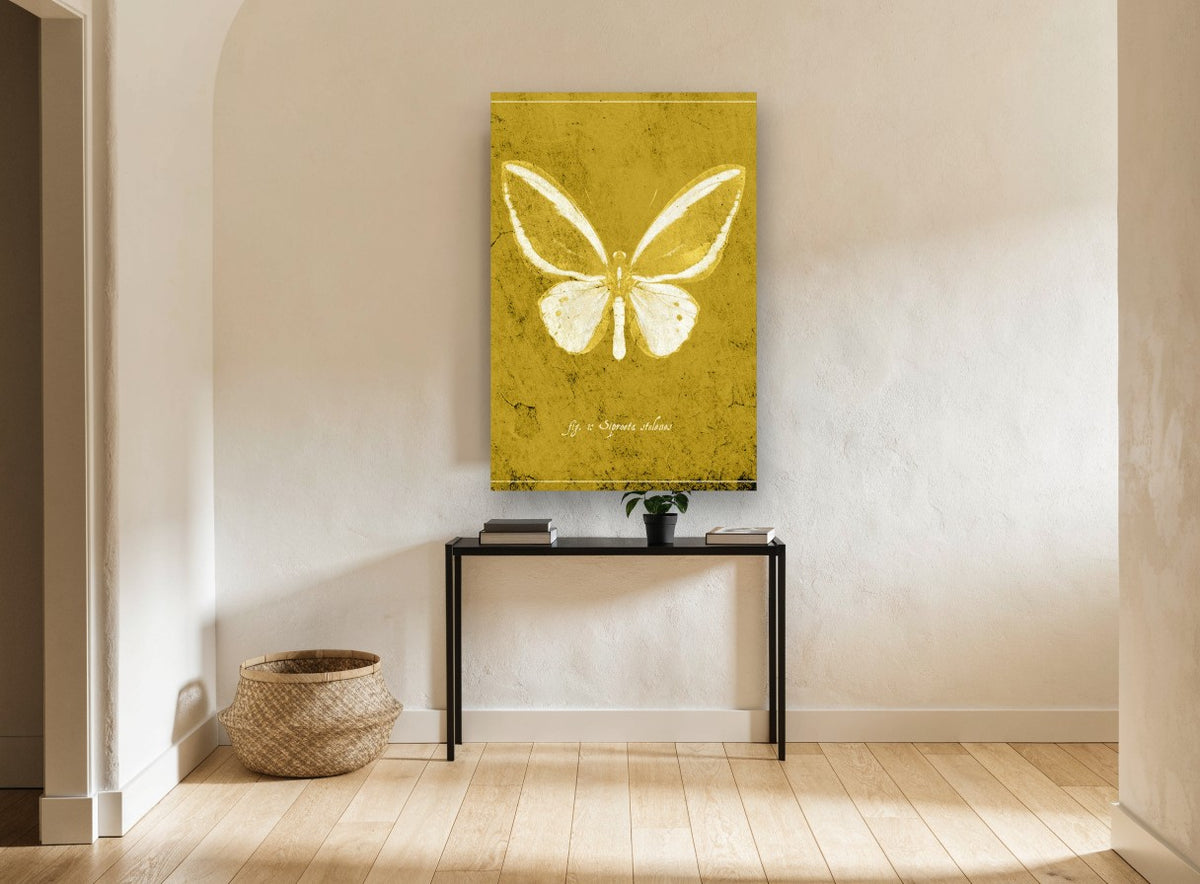 Ochre Butterfly Plate animal canvas print on the wall of a hallway