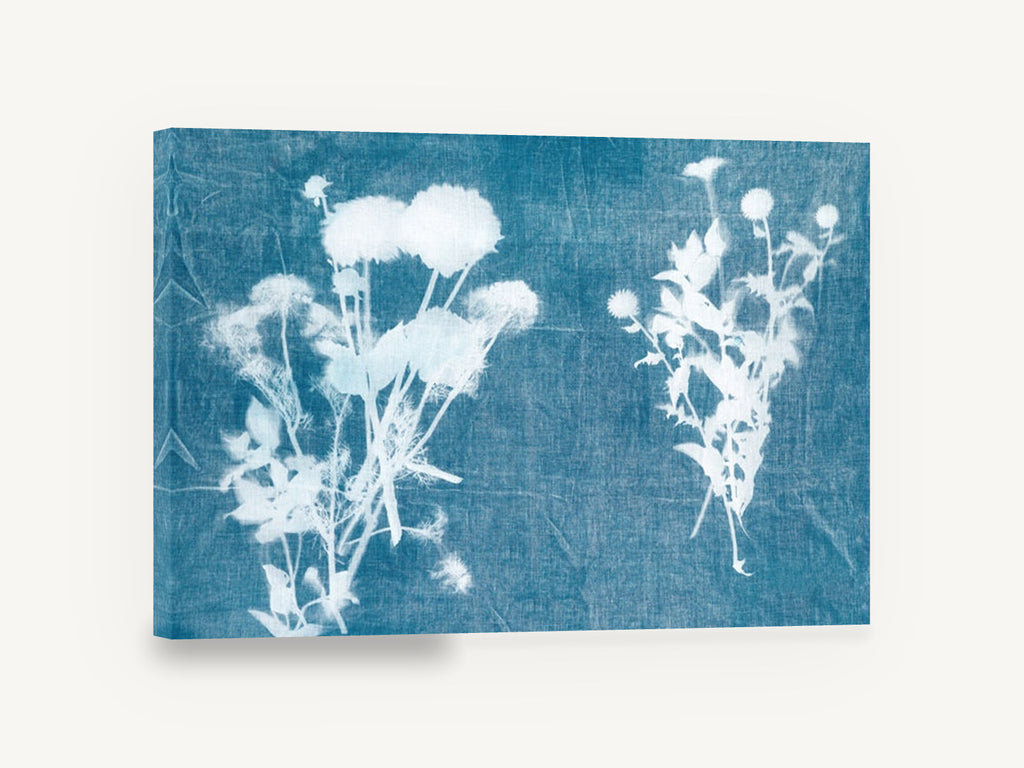 Blue Print Meadow Stems, cyanotype wildflower silhouettes blue and white, floral canvas wall art print ready to hang