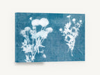 Blue Print Meadow Stems, cyanotype wildflower silhouettes blue and white, floral canvas wall art print ready to hang