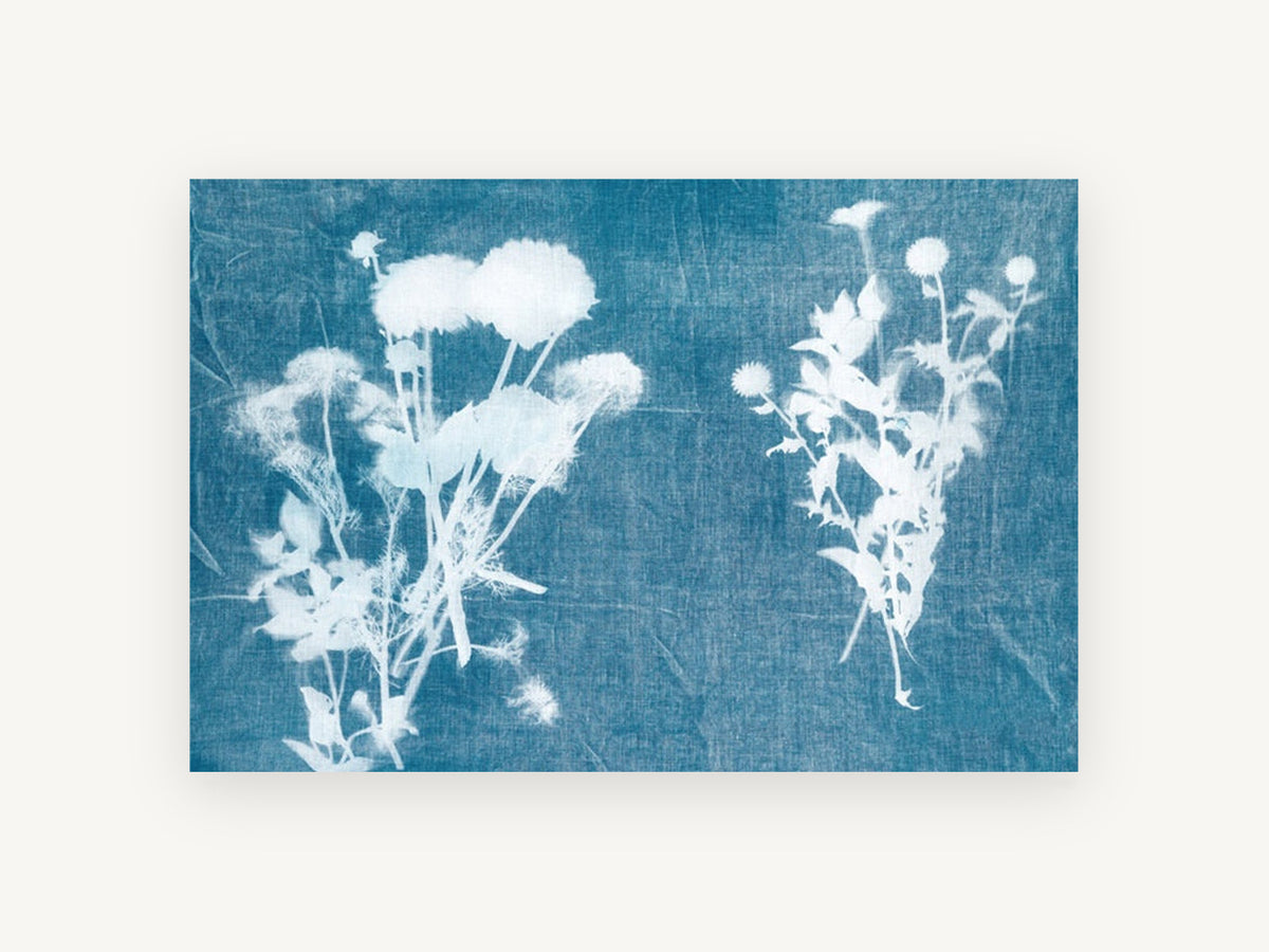 Blue Print Meadow Stems, floral canvas wall art print, front view