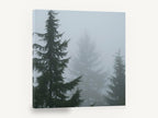 Fog Between Firs, foggy conifer forest photograph, landscape canvas wall art print ready to hang