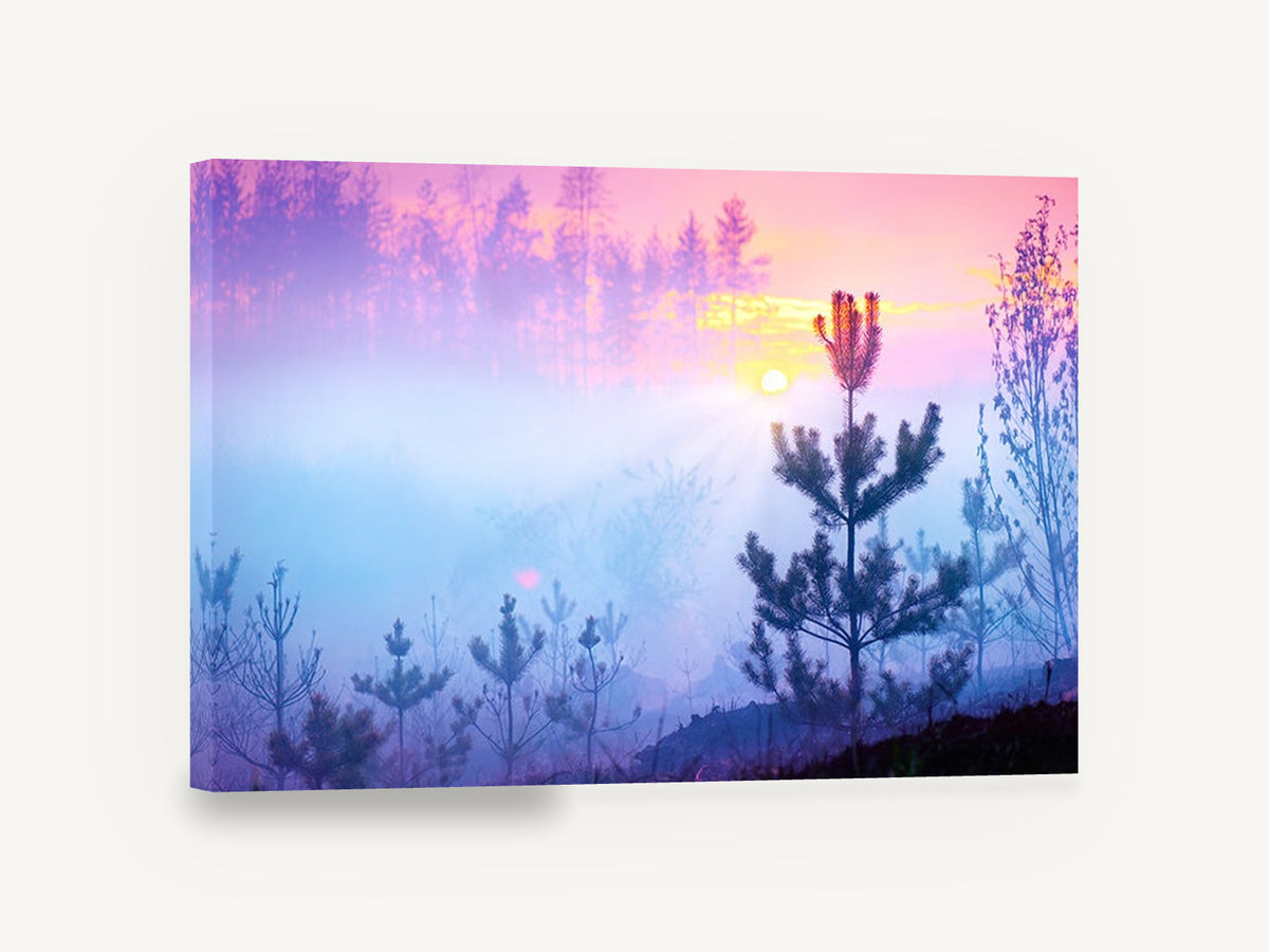 Pink Dawn Pines, misty pine forest sunrise photograph, landscape canvas wall art print ready to hang
