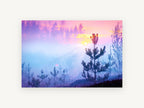 Pink Dawn Pines, misty pine forest sunrise photograph, landscape canvas wall art print, front view