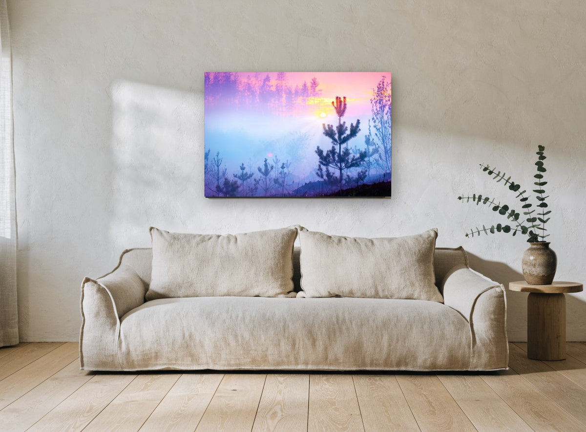 Pink Dawn Pines landscape canvas print on the wall of a living room